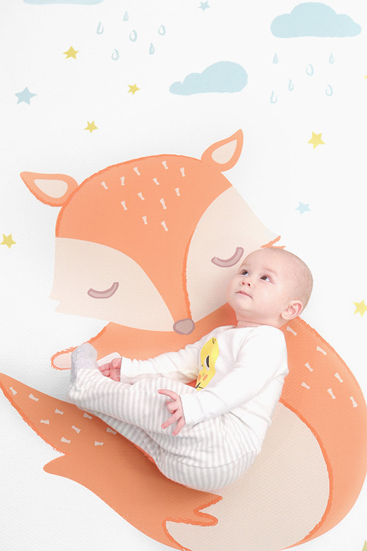 2017 baby collection - animal friend